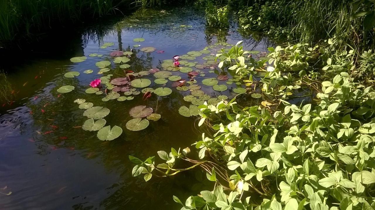 Vakantiehuisje Achter Odiliapeel Luaran gambar